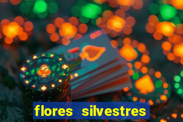 flores silvestres desbravadores desbravadores 25 flores silvestres e seus nomes
